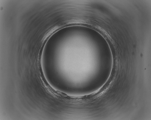X0000083611129200702121108