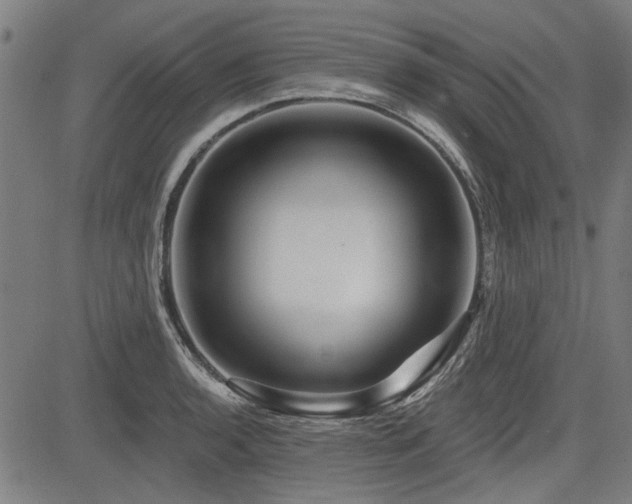 X0000083611136200702121108