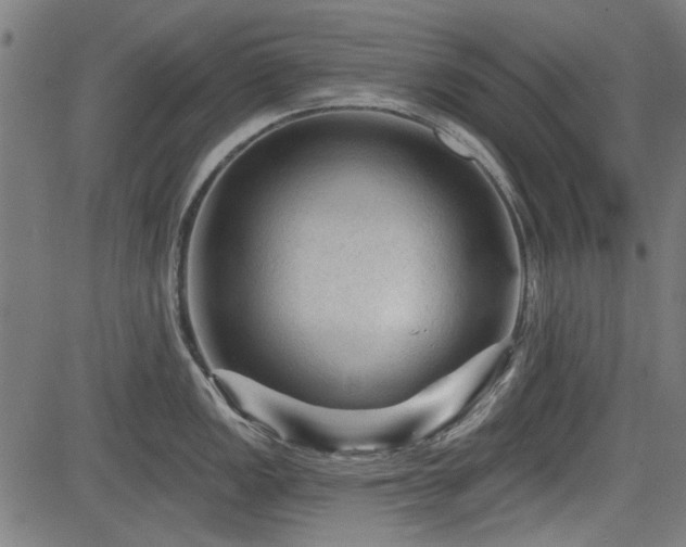 X0000083611149200702121109