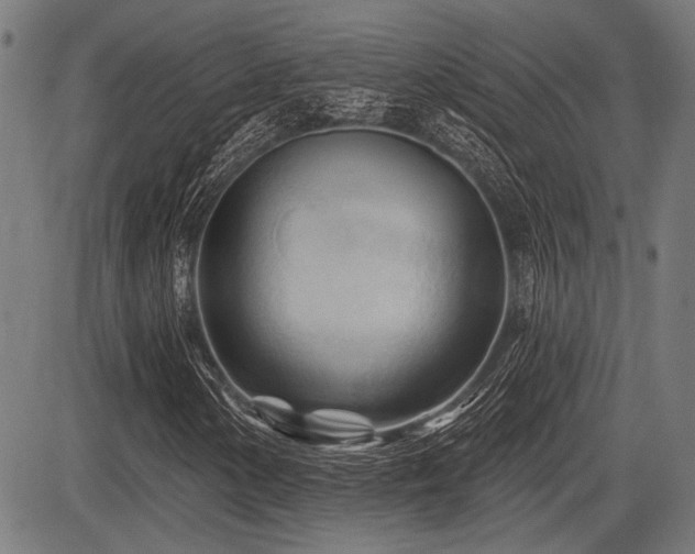 X0000083611154200702121108