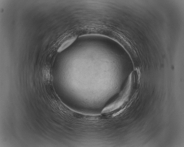 X0000083611155200702121108