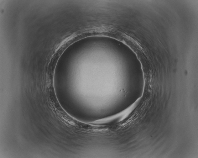 X0000083611160200702121108