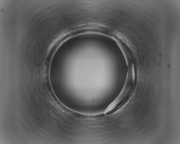 X0000083611164200702121108