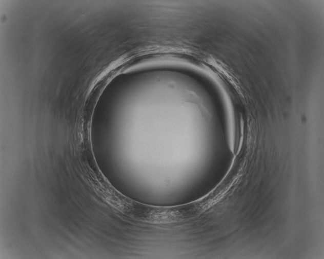 X0000083611165200702121108