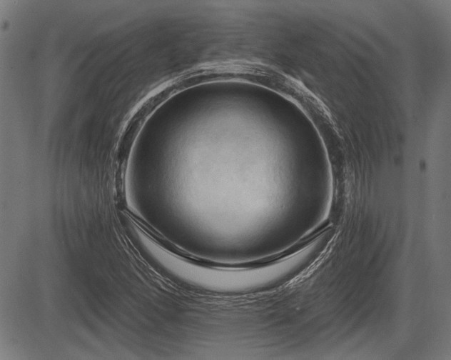 X0000083611166200702121108
