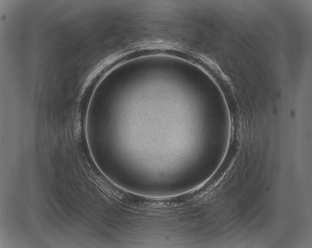 X0000083611167200702121108