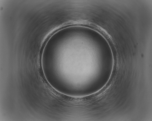 X0000083611174200702121108