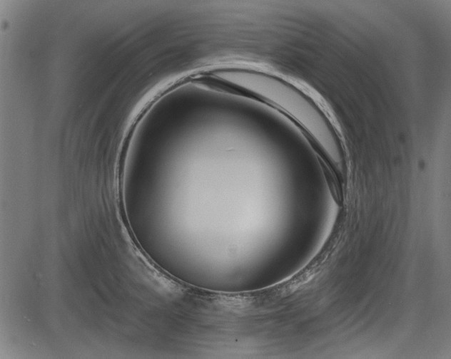 X0000083611191200702121107