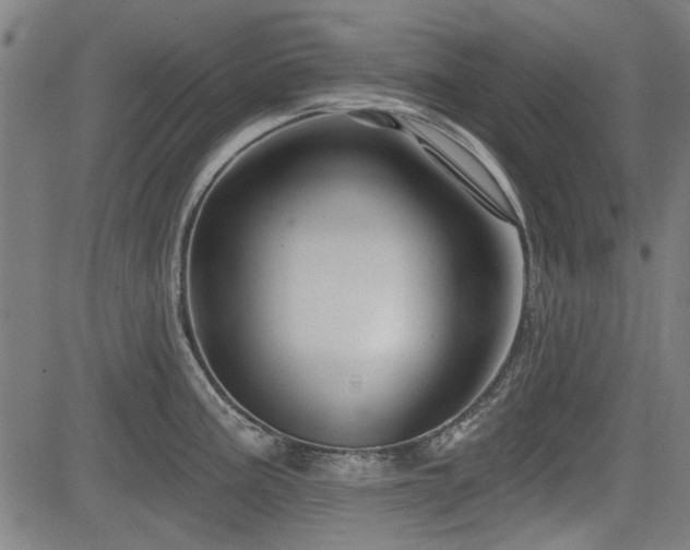 X0000083611195200702121107