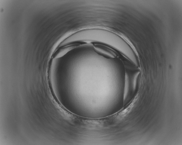 X0000083611197200702121107