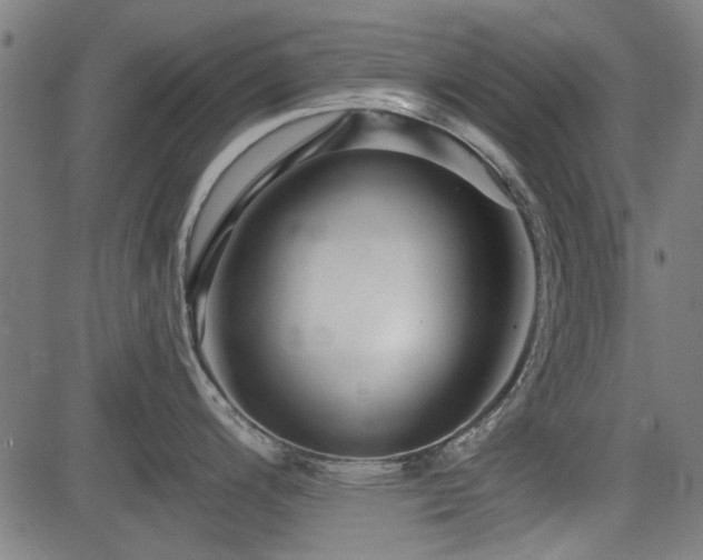 X0000083611200200702121107