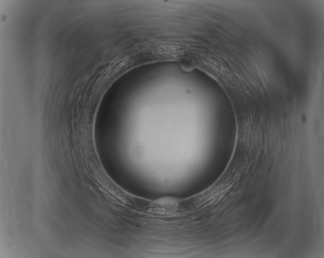 X0000083611201200702121106