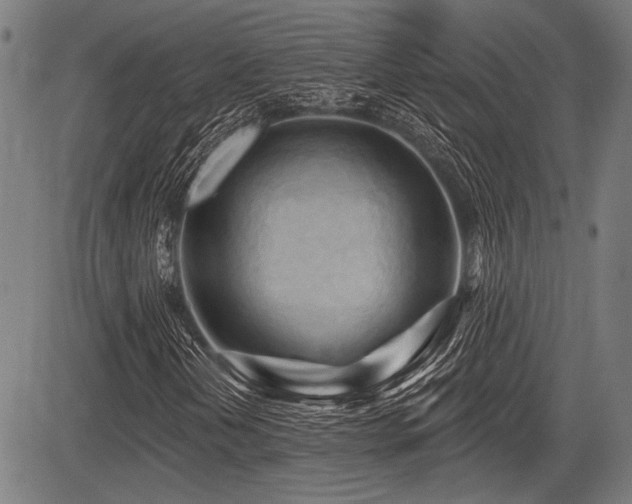 X0000083611202200702121106