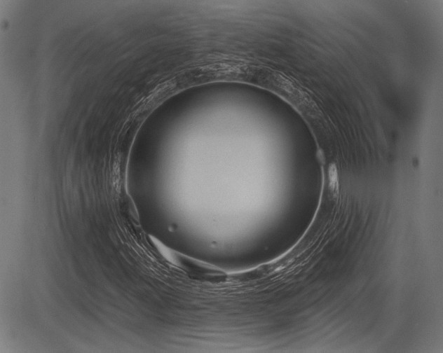 X0000083611203200702121106