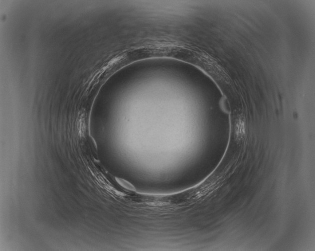X0000083611204200702121106