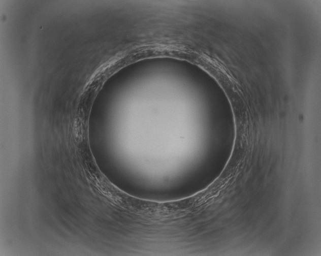 X0000083611207200702121106