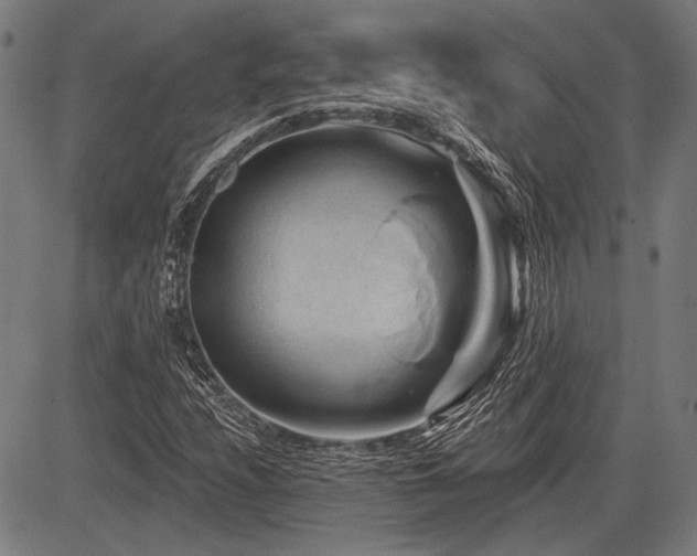 X0000083611208200702121107