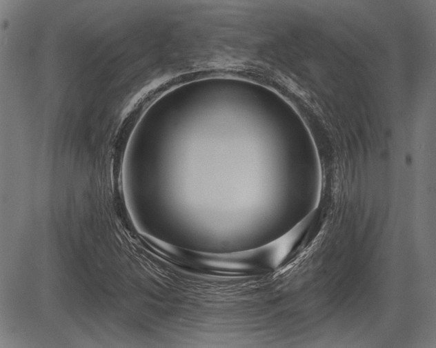 X0000083611214200702121107