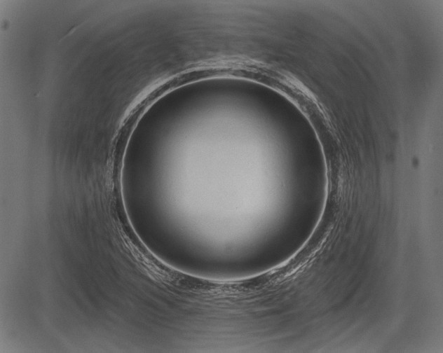 X0000083611216200702121107