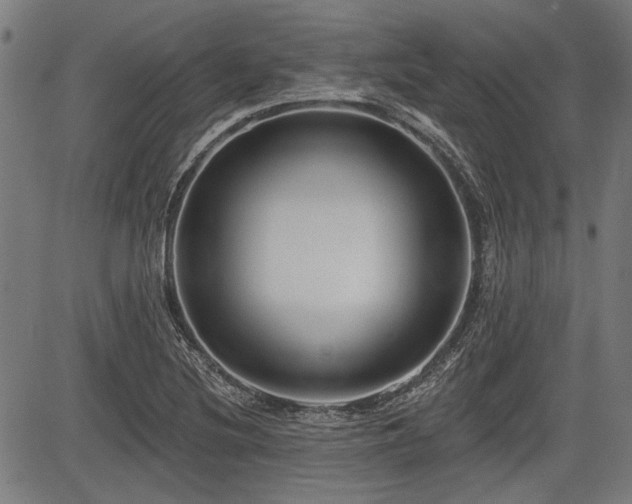 X0000083611220200702121107
