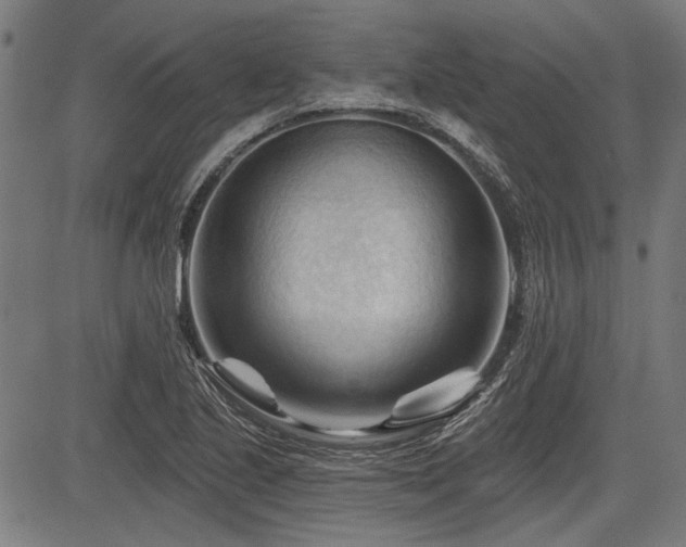 X0000083611221200702121107