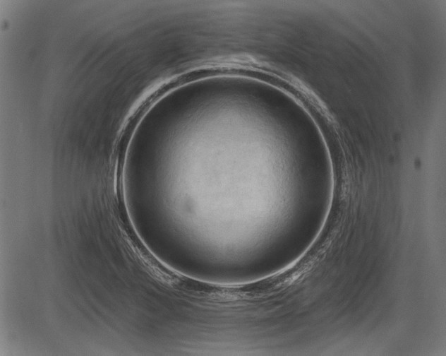 X0000083611224200702121107