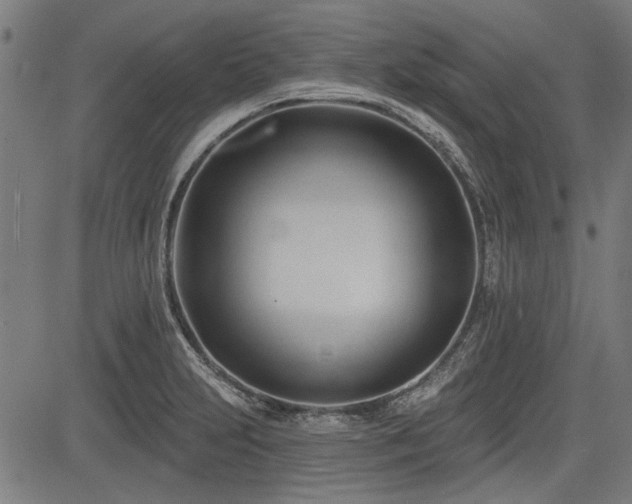 X0000083611231200702121107
