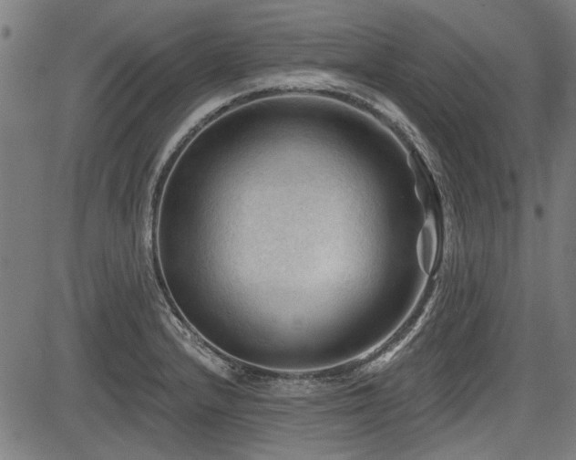 X0000083611232200702121107