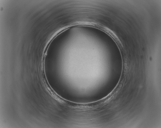 X0000083611236200702121107