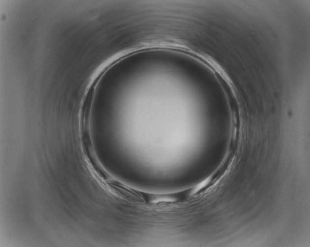 X0000083611246200702121107