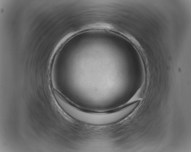 X0000083611248200702121107