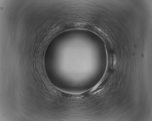 X0000083611249200702121106