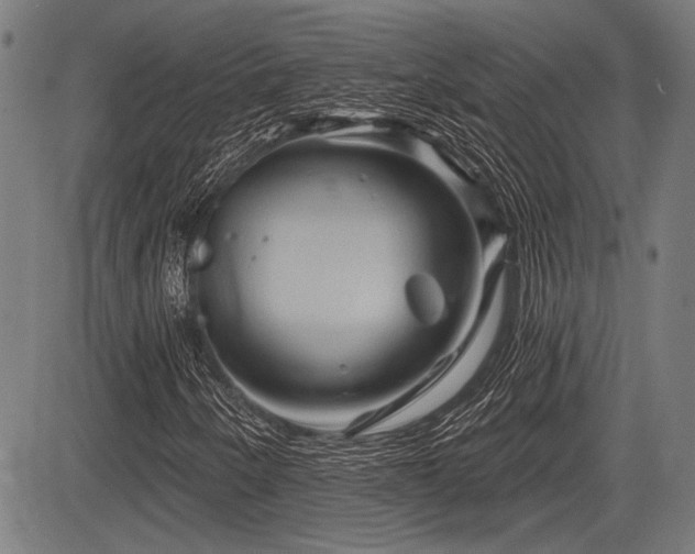X0000083611250200702121106