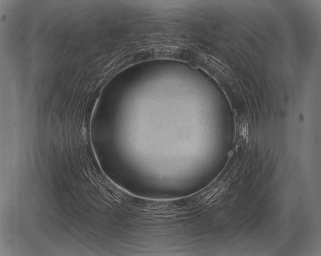 X0000083611252200702121106