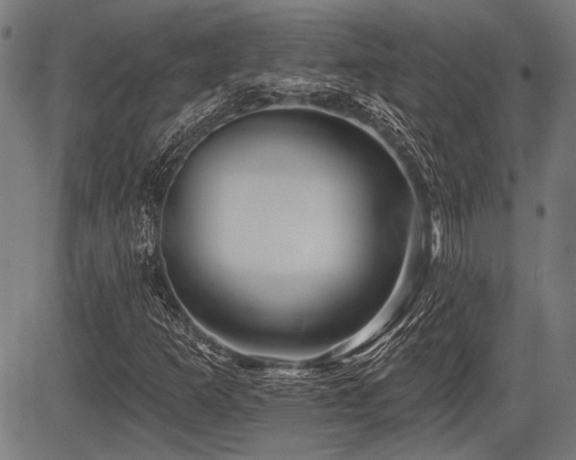 X0000083611253200702121106