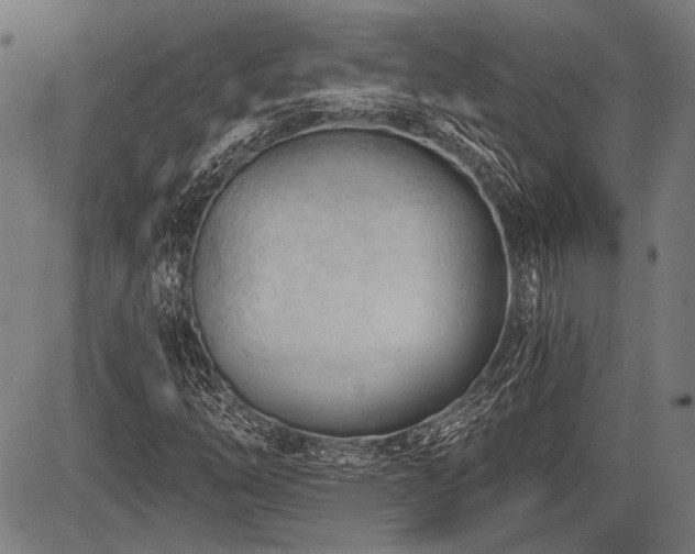 X0000083611254200702121106