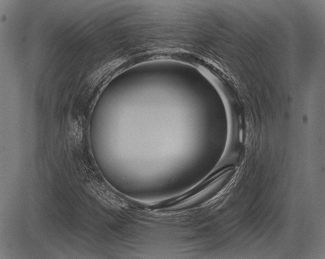 X0000083611257200702121106