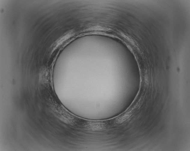 X0000083611258200702121106