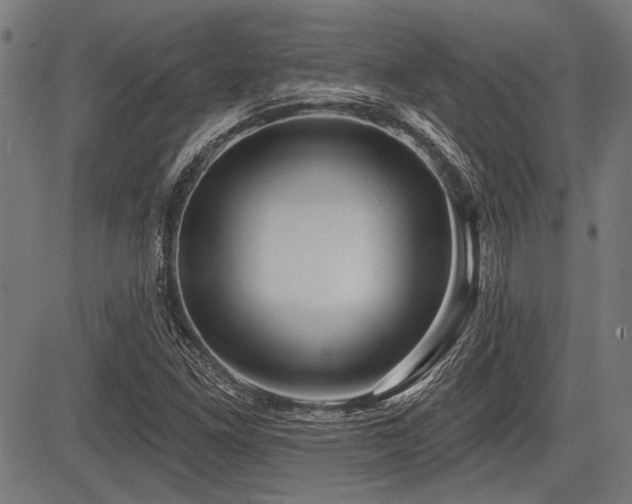 X0000083611261200702121106