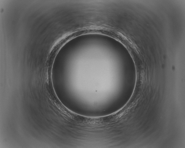 X0000083611262200702121106