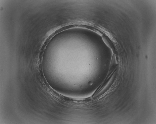 X0000083611264200702121106