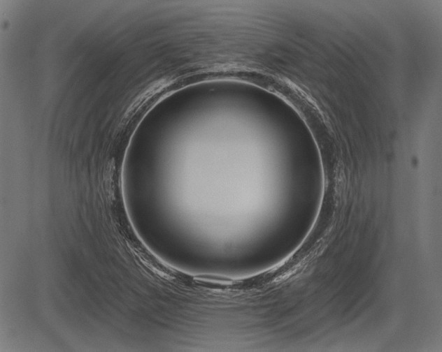 X0000083611265200702121106