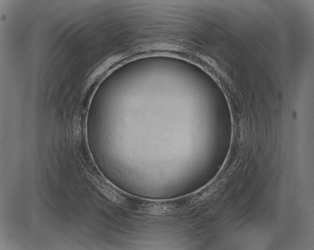 X0000083611266200702121106