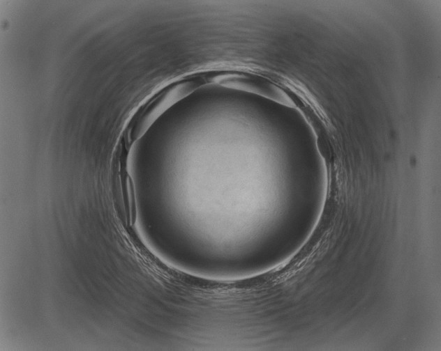 X0000083611268200702121106
