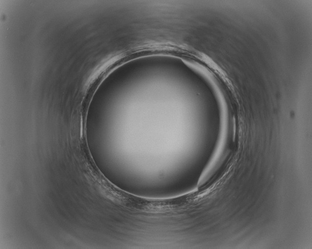 X0000083611269200702121106
