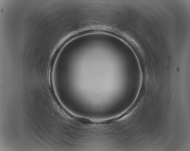 X0000083611272200702121106