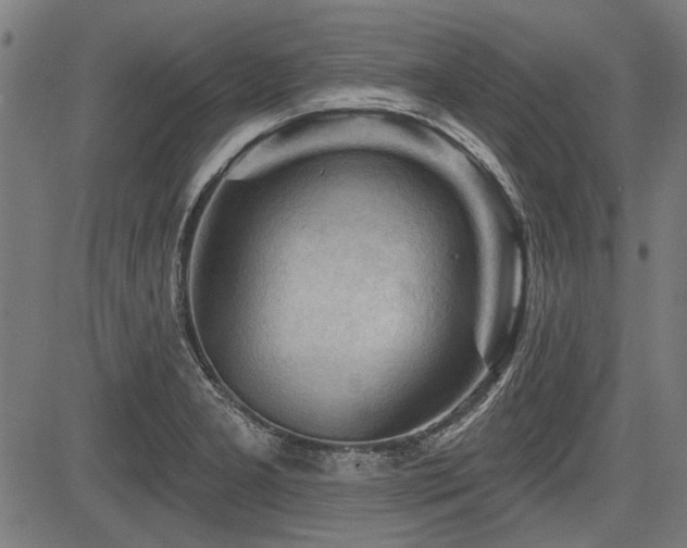 X0000083611277200702121106