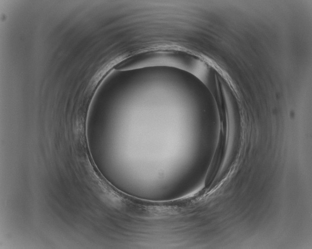X0000083611281200702121106