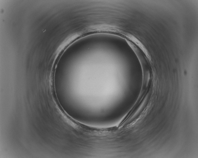 X0000083611285200702121106