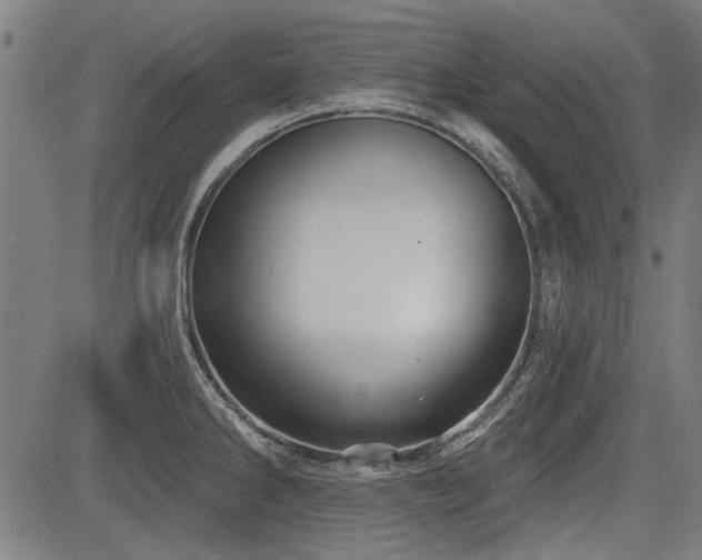 X0000083611286200702121106